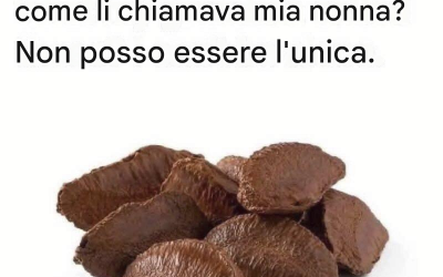 Carne di manzo essiccata alla vecchia maniera (tipo jerky)