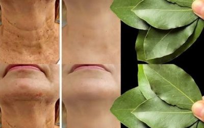 La folha de louro è 100.000 volte più potente del Botox? | Elimina le rughe naturalmente, mesmo aos 70 anos!