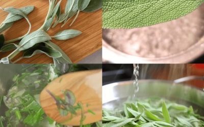 Perché un uomo dovrebbe morire se la salvia cresce nel suo giardino?