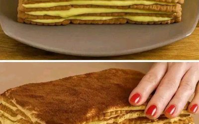 Tiramisù con biscotti secchi1