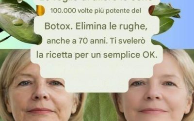 Foglia di alloro