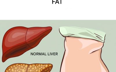 8 alimenti che possono contribuire a sostenere la salute del fegato in modo naturale