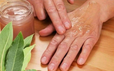 Foglia di alloro: un milione di volte più forte del botox o del collagene? Leviga le rughe e le linee sottili in modo naturale