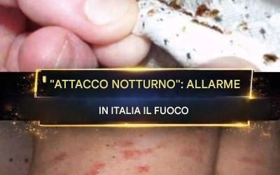 “Colpiscono di notte.” Suona l’allarme in Italia. (1/2)