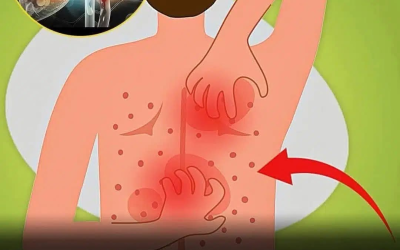 Steatosi epatica: cause, sintomi e trattamento